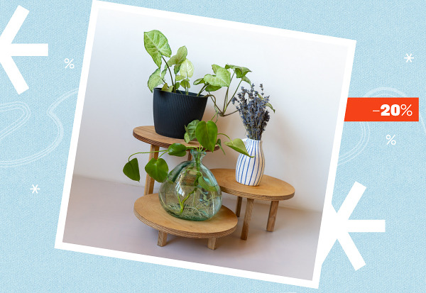 [ wlacz wyswietlanie obrazkow ]