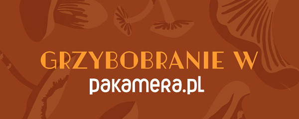 [ wlacz wyswietlanie obrazkow ]
