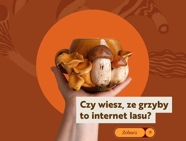 [ wlacz wyswietlanie obrazkow ]