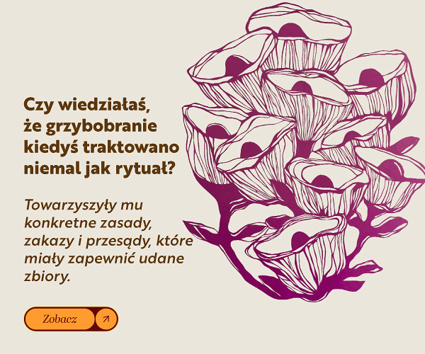 [ wlacz wyswietlanie obrazkow ]