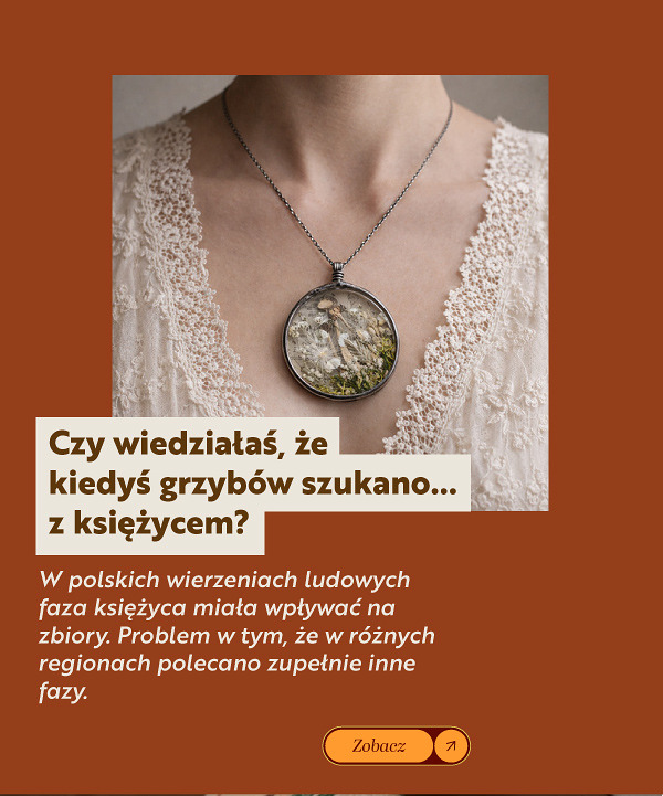 [ wlacz wyswietlanie obrazkow ]