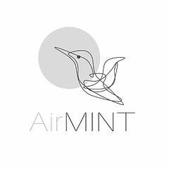 AirMINT