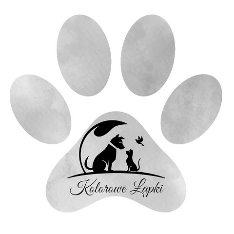 Kolorowe Łapki