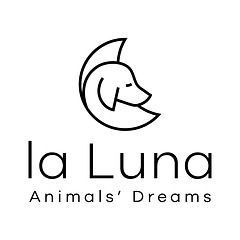 la Luna