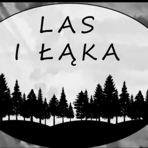 Las i Łąka