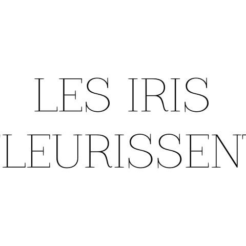 Les Iris Fleurissent