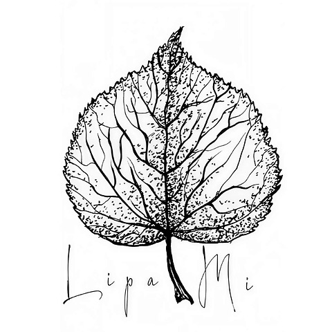 LipaMi
