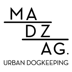 MADZAG DOG
