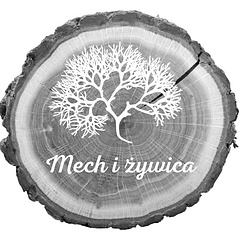 Mech i żywica