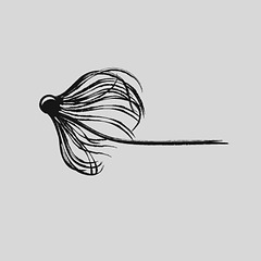 MonaForm