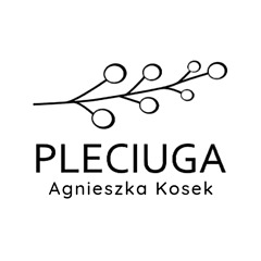 Pleciuga