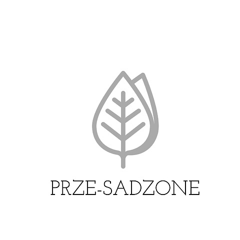 przesadzone