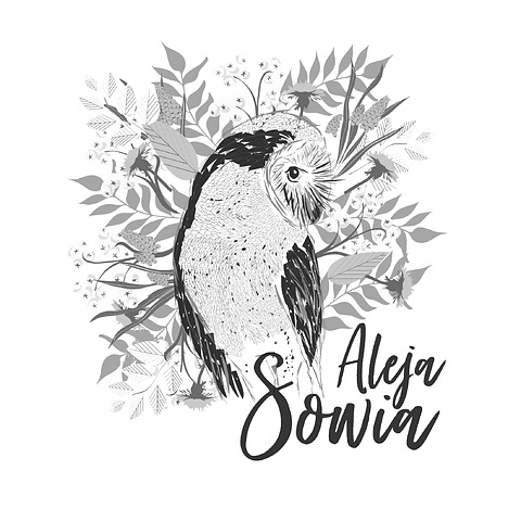 Sowia Aleja