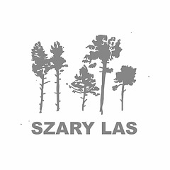 Szary Las