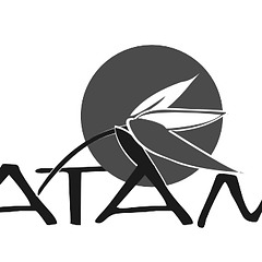 TATAMI