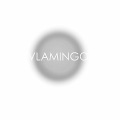 vlamingo