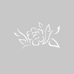 White Rose Peonies 