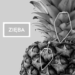 ZIĘBA