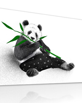 Obraz na płótnie Panda z Bambusem 80x60cm