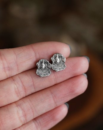 Pies berneńczyk mini kolczyki sztyfty ze srebra