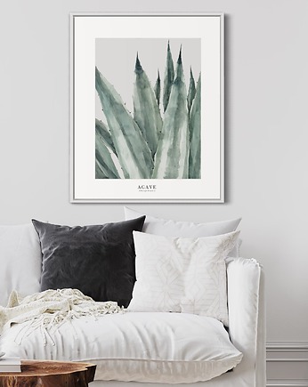 Agave / reprodukcja akwareli