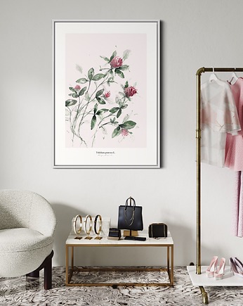 Koniczyna /print