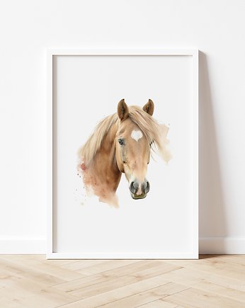 Plakat Portret Konia P200