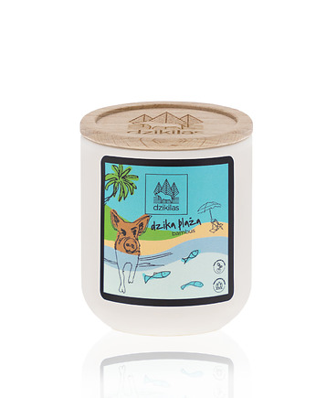 Dzika plaża S - mała świeca rzepakowa, Dzikilas