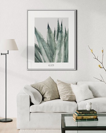 Agave / Fine art Print