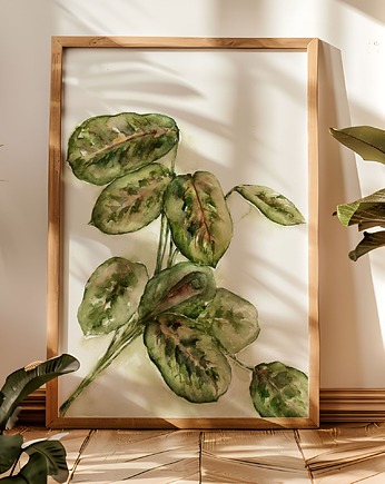 Maranta akwarela botaniczna ręcznie malowana oryginał