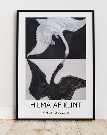 PLAKAT łabędź, Hilma af Klint, rysunek łabędzia