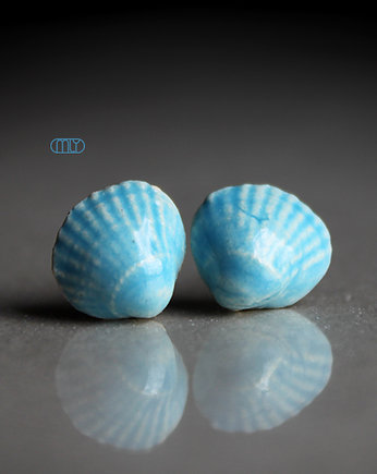 Shell/stal chirurgiczna/