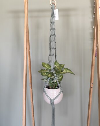 Kwietnik makrama, miaukramy