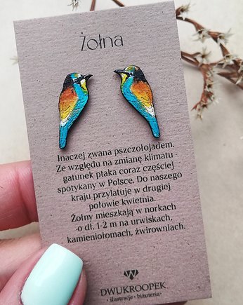 Żołny malowane