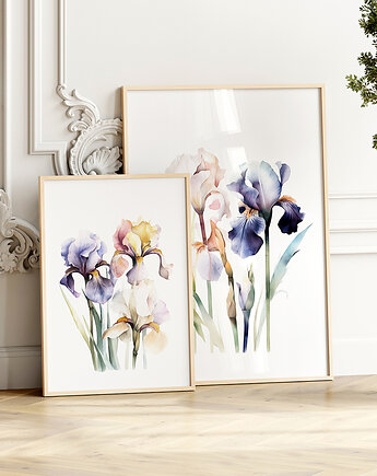 Irysy - Zestaw dwóch grafik botanicznych