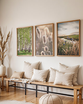 Zestaw plakatów - Natura, brzozy, chabry, trawy  (set216)