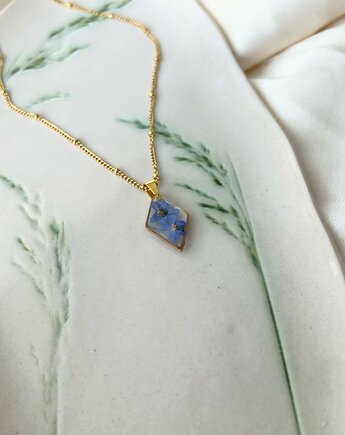 Naszyjnik z niezapominajkami, Blask Natury