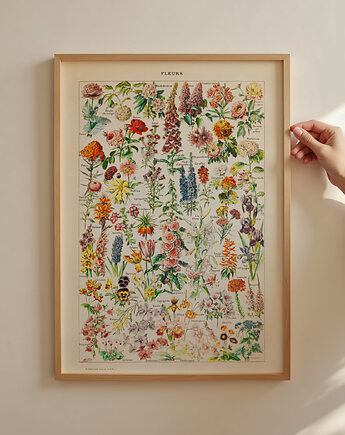 grafika Fleurs (reprint)