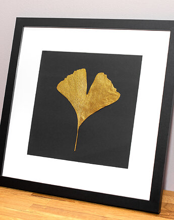 Obraz Botaniczny. Złoty Liść Miłorząb 28x28cm. Premium Golden Ginkgo Leaf