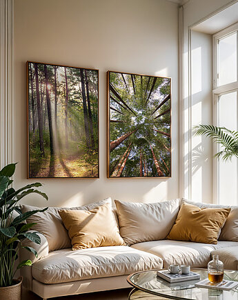 Zestaw plakatów - Las (set210)