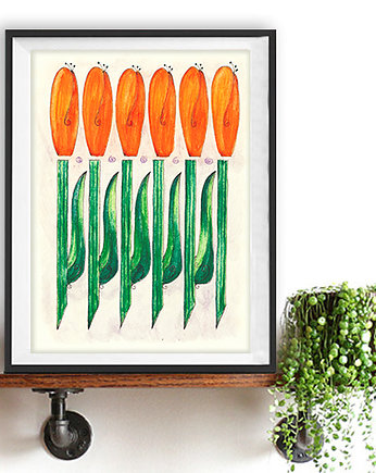 Tulipany A2