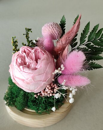 Wieczna piwonia wieczny kwiat w szkle prezent na urodziny, miaukramy