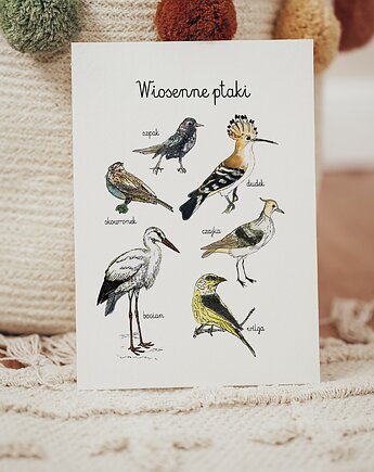 Plakat Wiosenne Ptaki