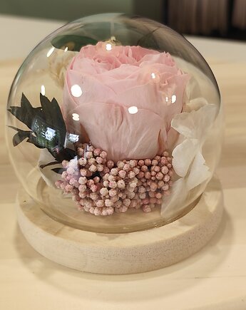 Wieczna piwonia wieczny kwiat w szkle prezent na urodziny, miaukramy