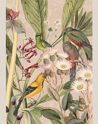 Plakat - Canary Bird