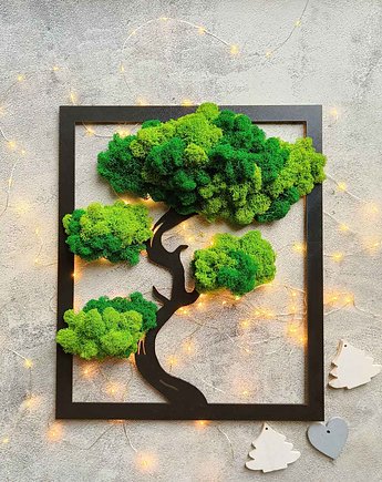 Drzewo bonsai z mchem, w prostokącie