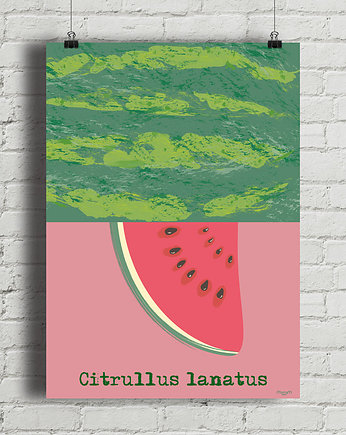 Arbuz - plakat fine art 50x70 cm
