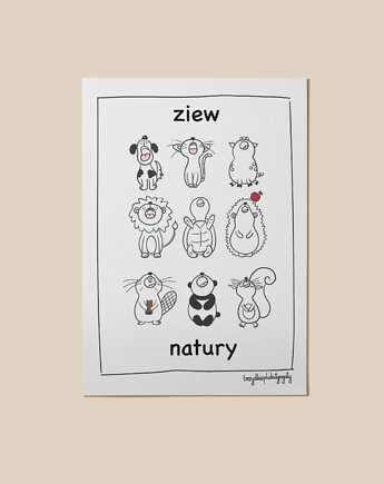 Plakat - Ziew natury