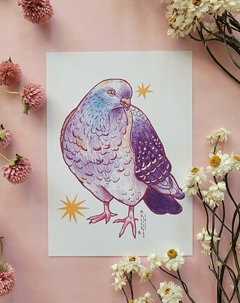 Gołąb pocztówka/miniprint A6
