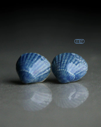 Shell/stal chirurgiczna/